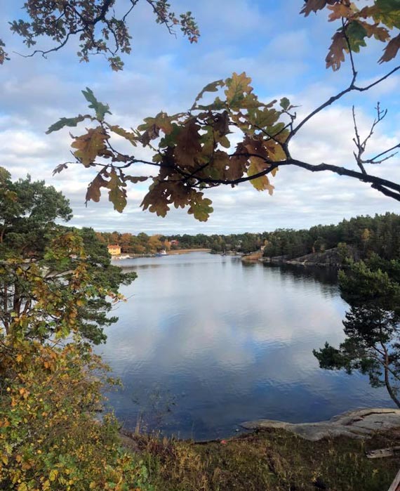 Trädfällare Värmdö Arborist